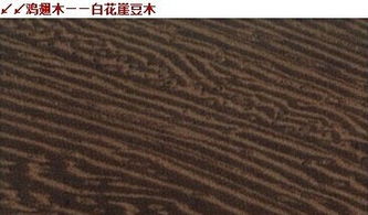 中木商网 实时木材价格资讯与厂家资源整合平台
